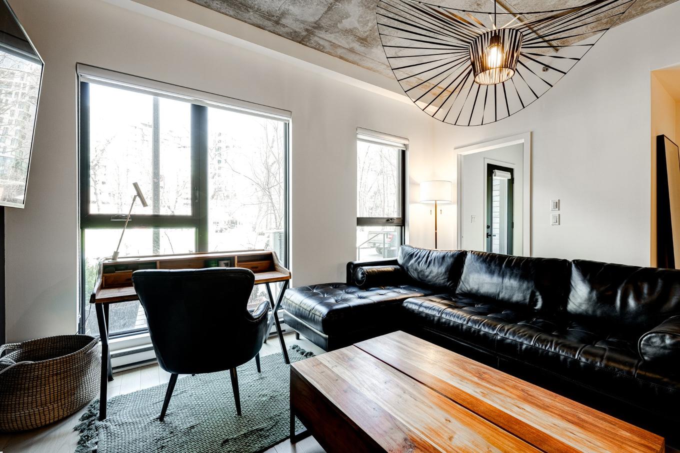 Salon - 117-170 Rue Rioux, Montréal (Le Sud-Ouest), QC - Indoor Photo Showing Living Room