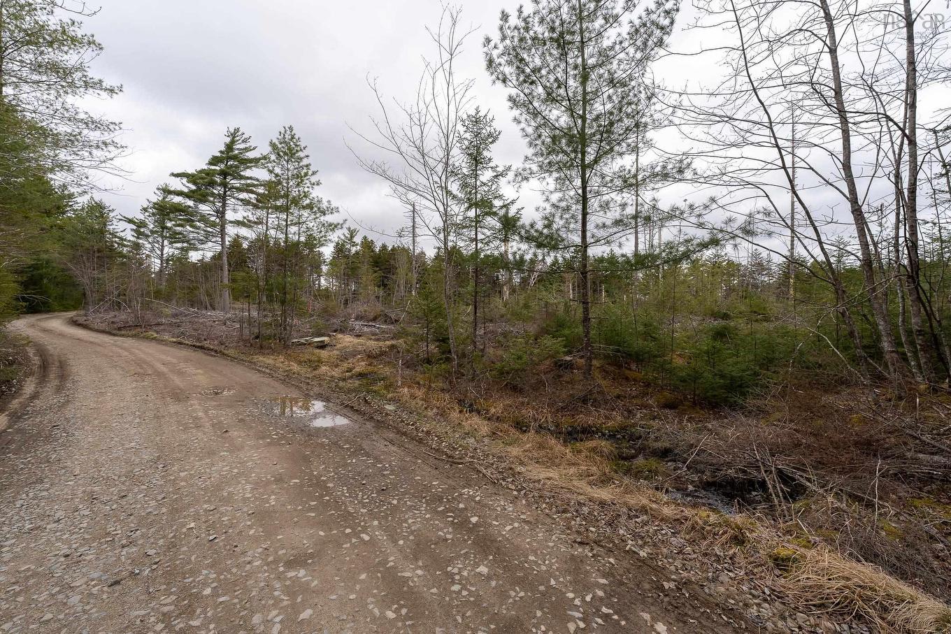 Lot 12 Patrice Road, Corberrie, NS