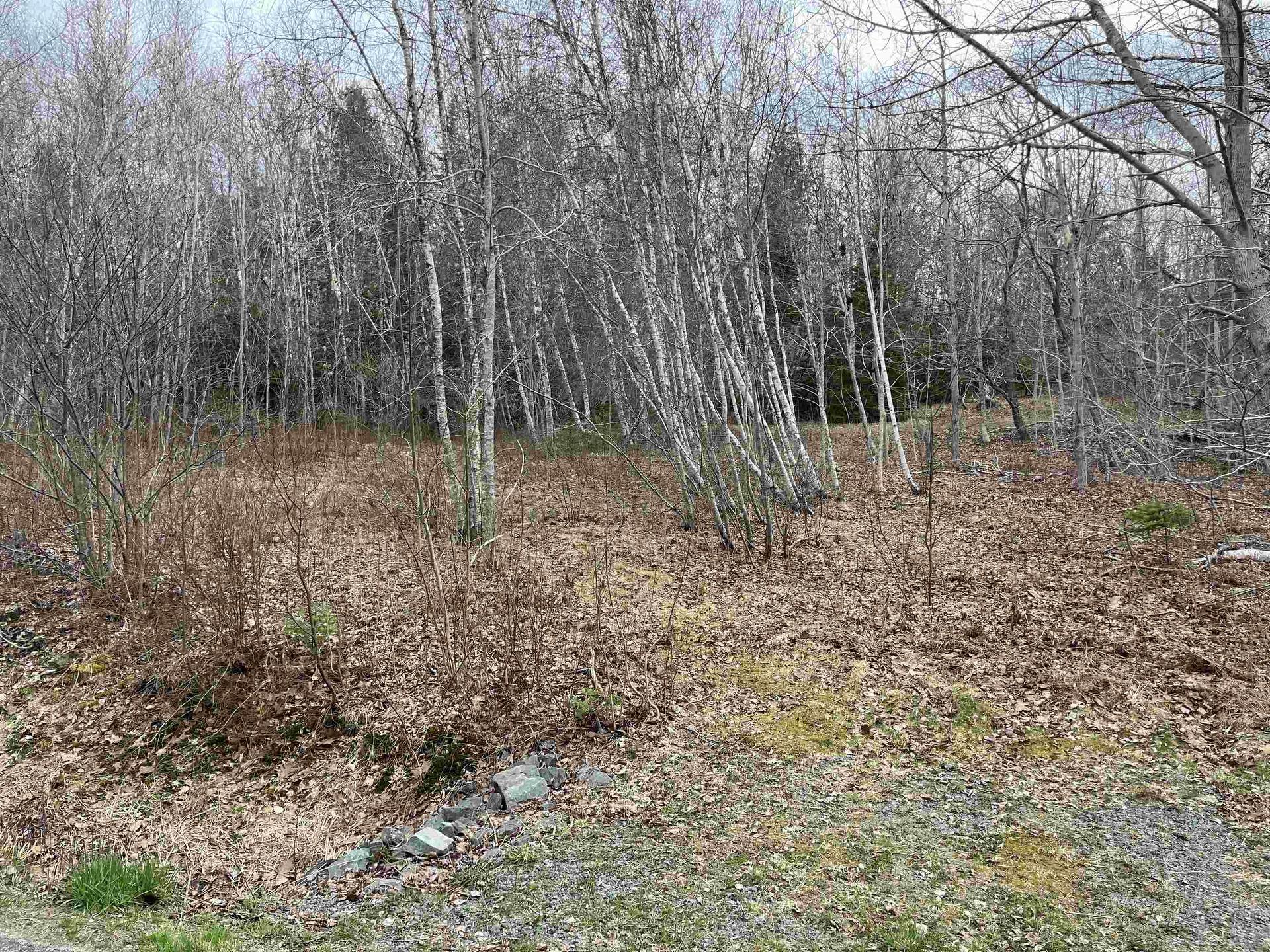 Lot 2 Sarty Road, Camperdown, NS