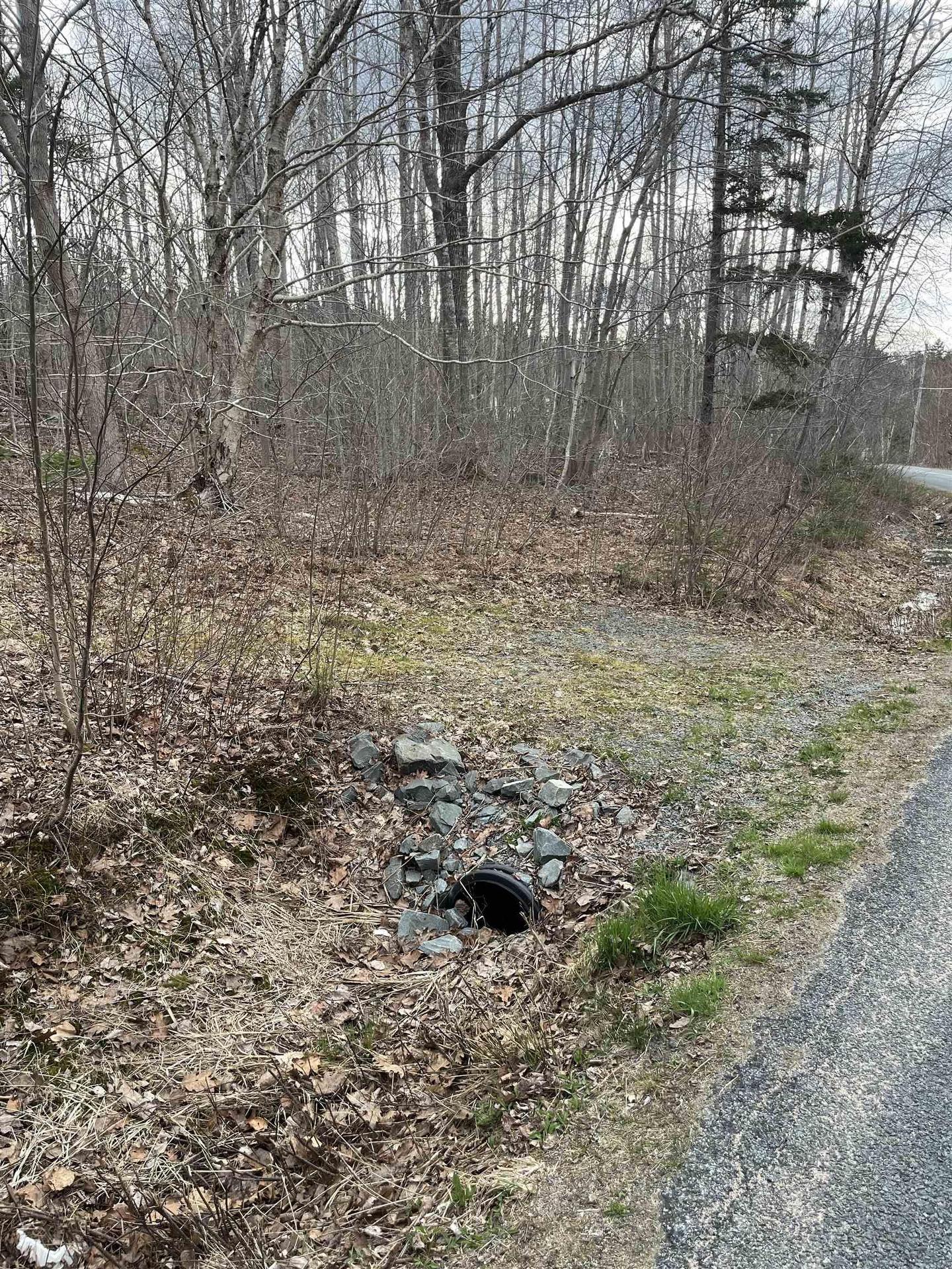 Lot 2 Sarty Road, Camperdown, NS