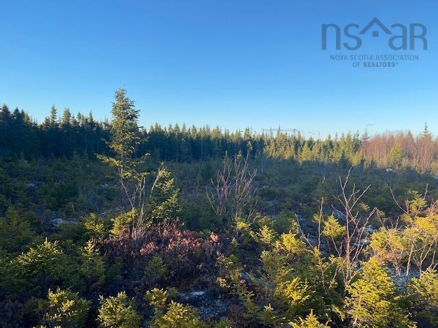 Lot 6 Mailman Branch Road, Little Liscomb, NS