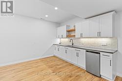 Lower level kitchenette -