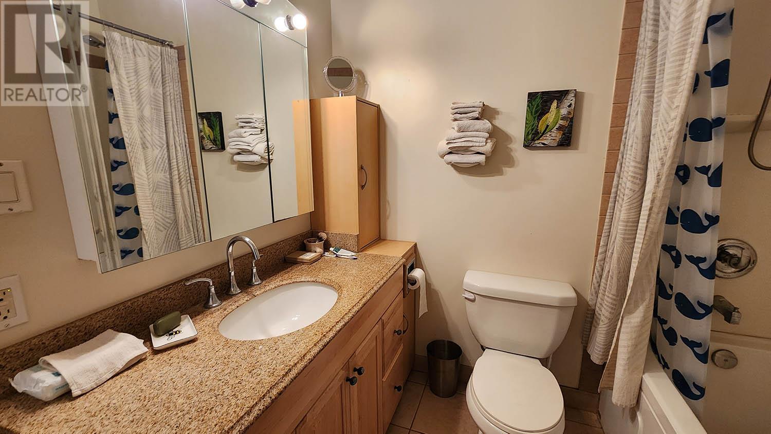 Main home bath - 16424 Wadds Road, Crawford Bay, BC - Indoor Photo Showing Bathroom