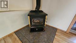 Manufactured Home wood stove -