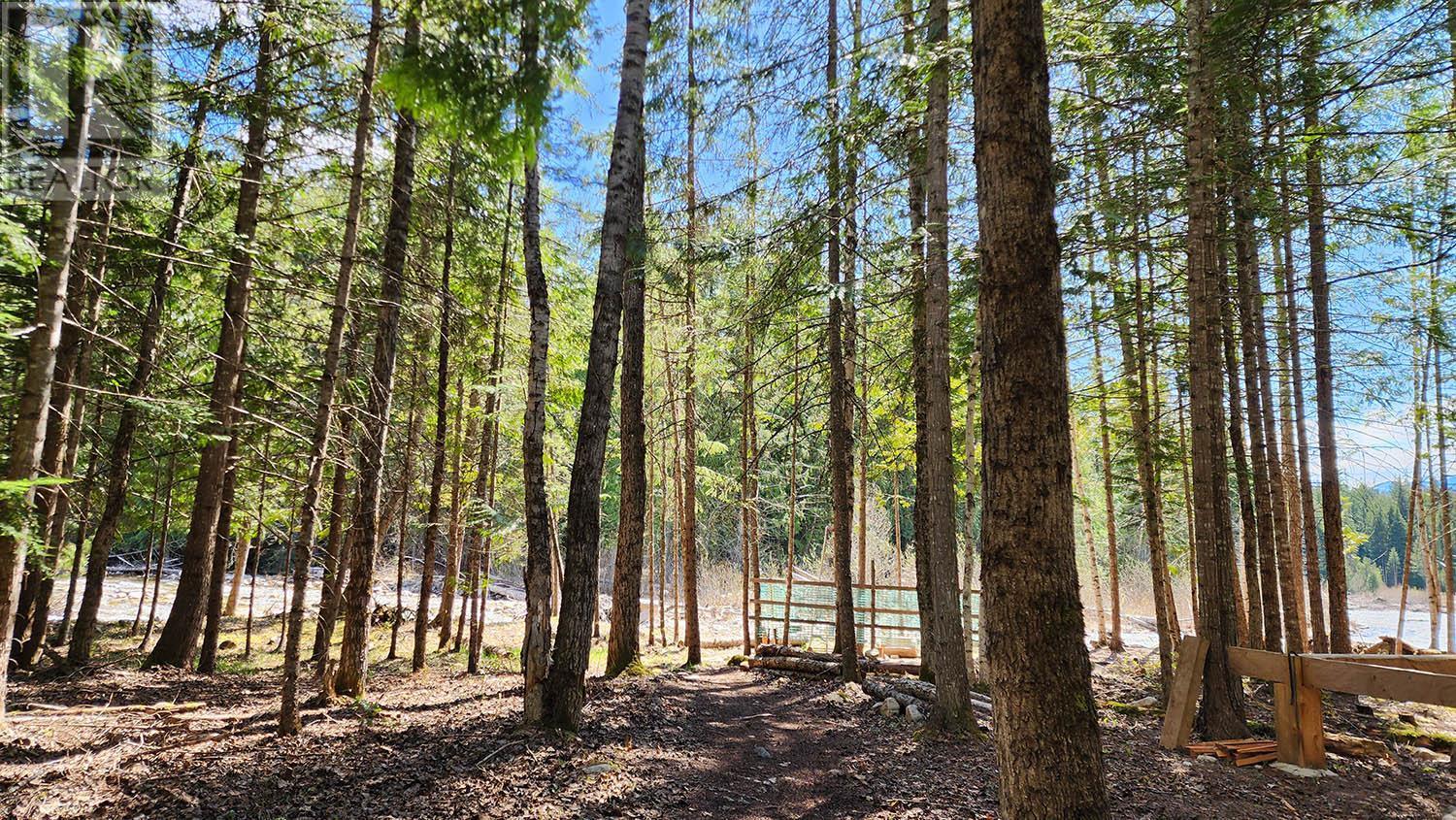 Crawford Creek forest - 16424 Wadds Road, Crawford Bay, BC - Outdoor With View