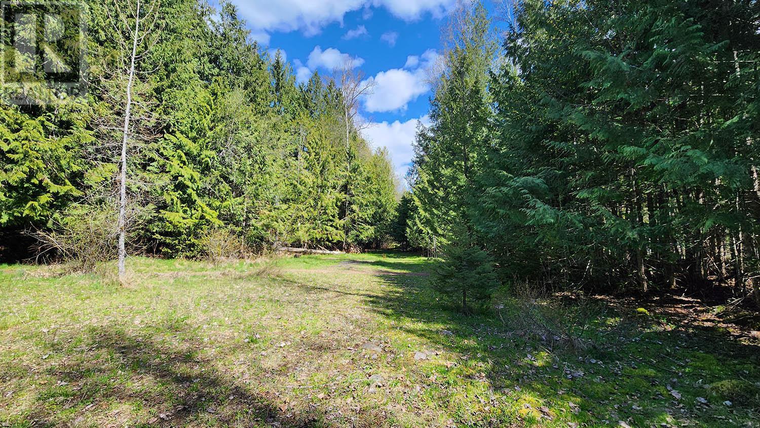 Lower clearing - 16424 Wadds Road, Crawford Bay, BC - Outdoor