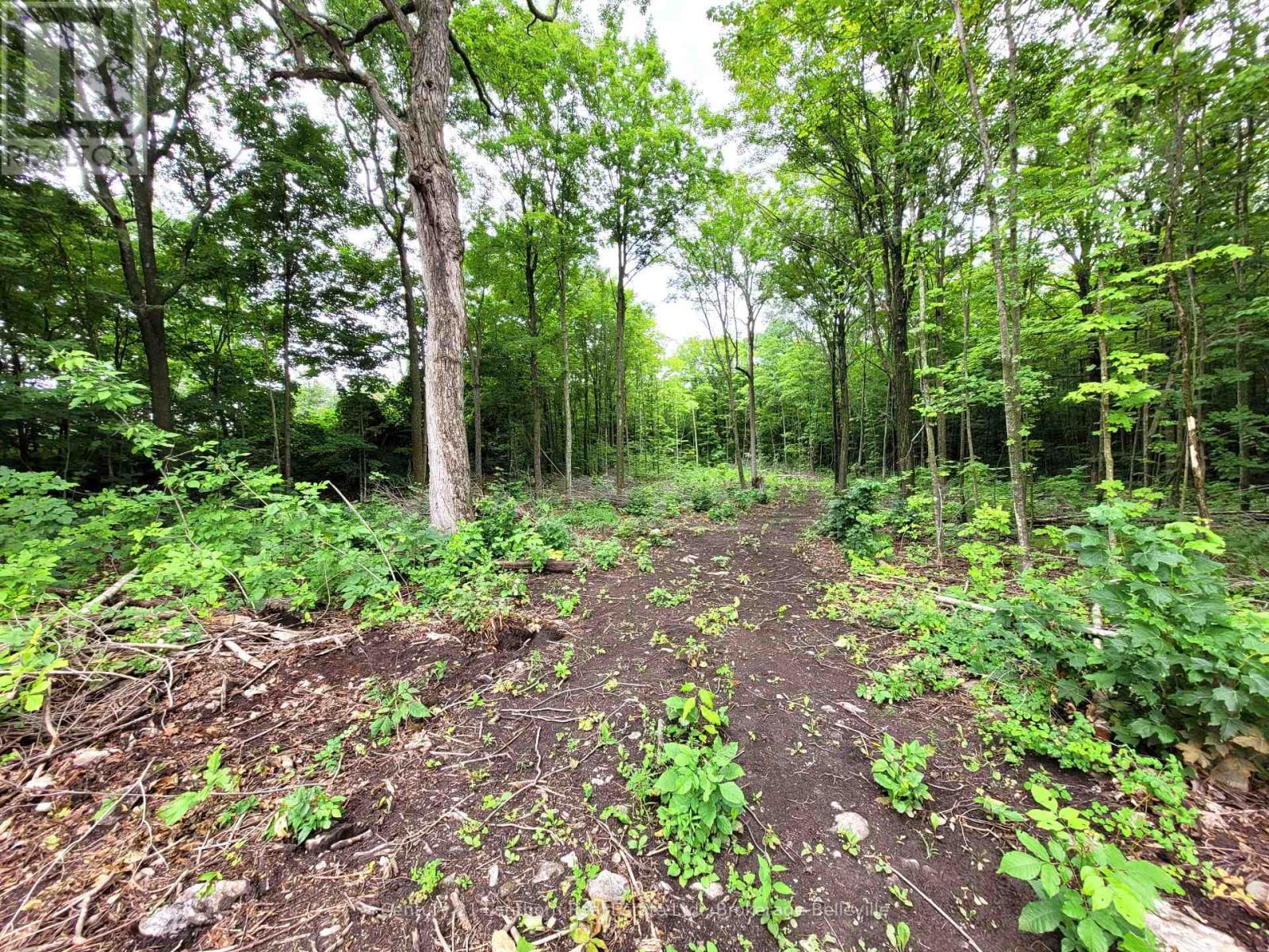 0 Spry Road, Stirling-Rawdon (Rawdon Ward), ON