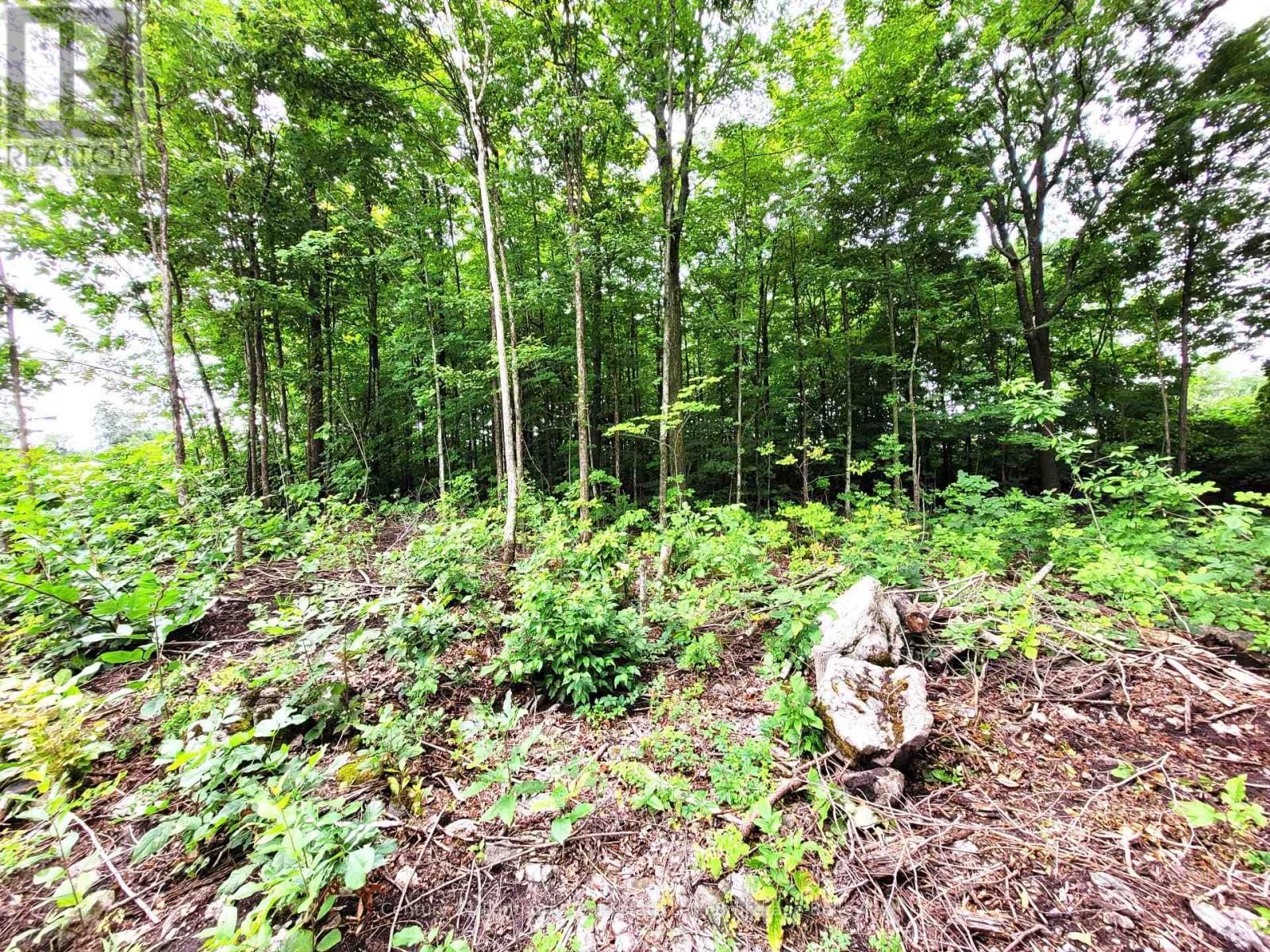 0 Spry Road, Stirling-Rawdon (Rawdon Ward), ON