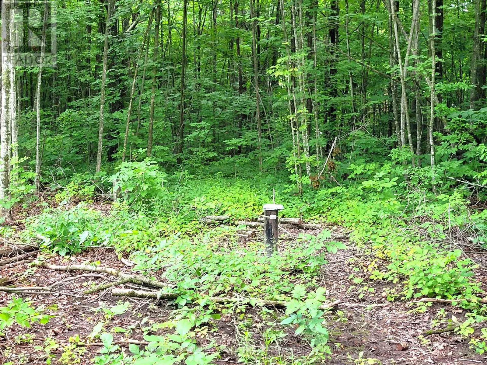 0 Spry Road, Stirling-Rawdon (Rawdon Ward), ON