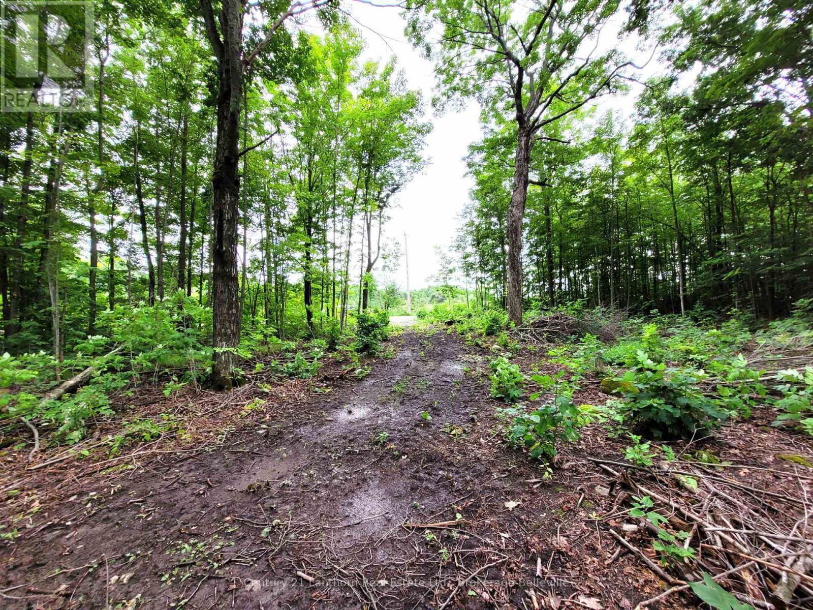 0 Spry Road, Stirling-Rawdon (Rawdon Ward), ON