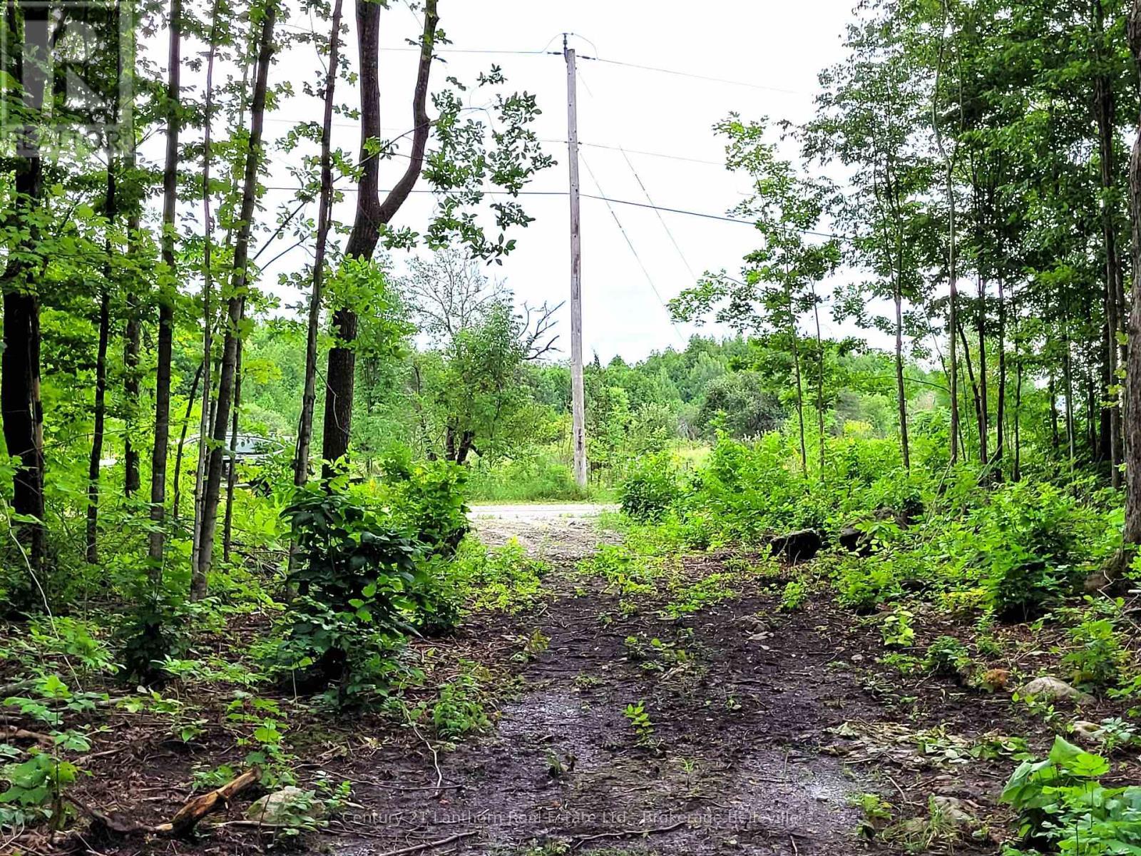 0 Spry Road, Stirling-Rawdon (Rawdon Ward), ON