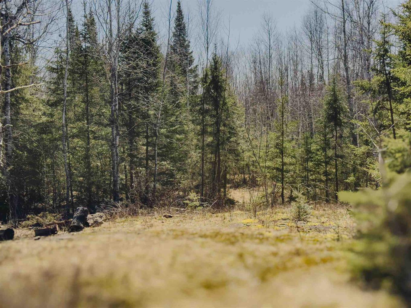 Part 4 Plan 23R15112 Hilly Lake Rd, Kenora, ON