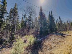 Part 5 Plan 23R15112 Hilly Lake Rd Kenora, ON P9N 3W8