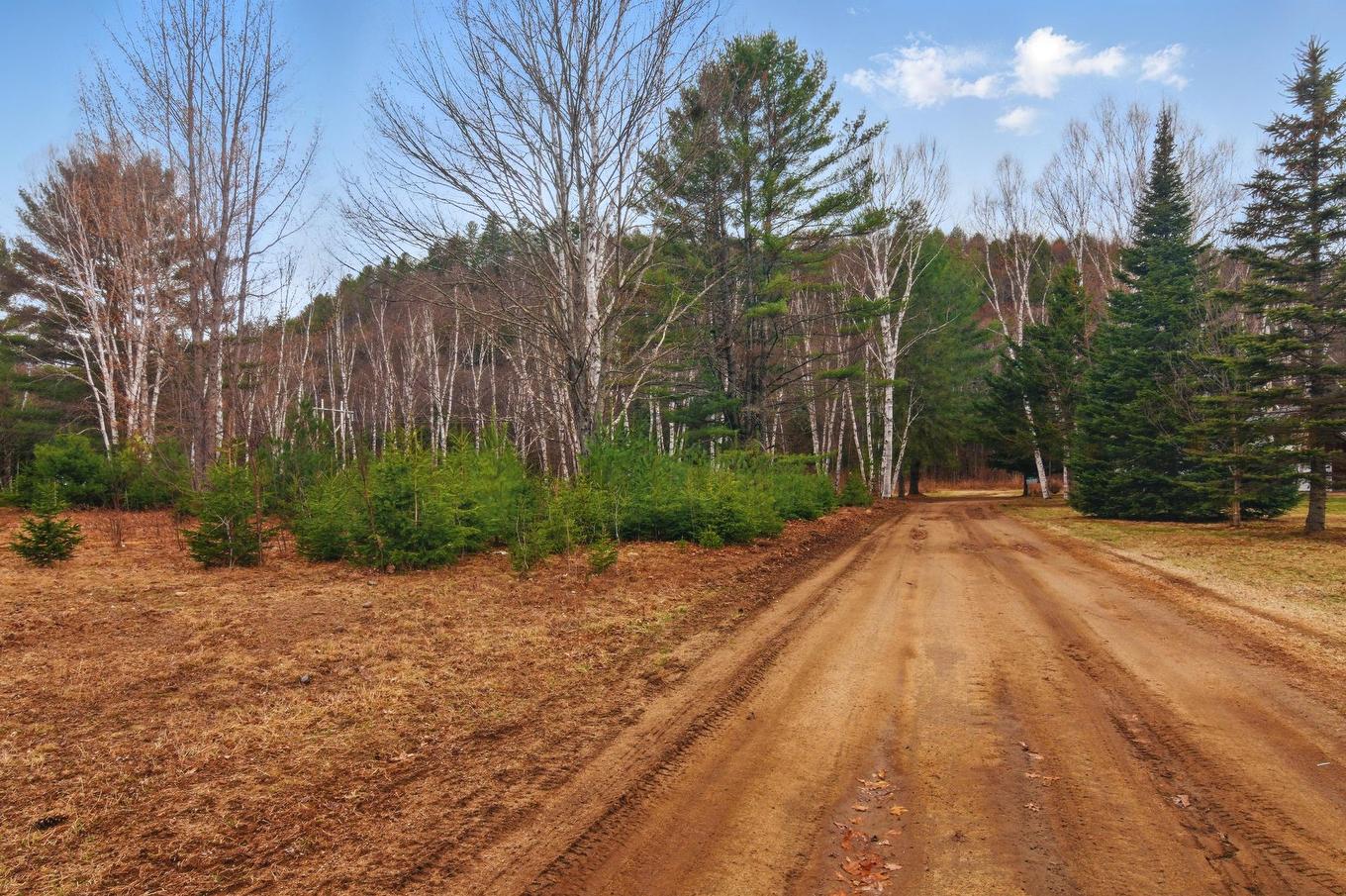 Land/Lot - Ch. O'Dwyer, Bowman, QC