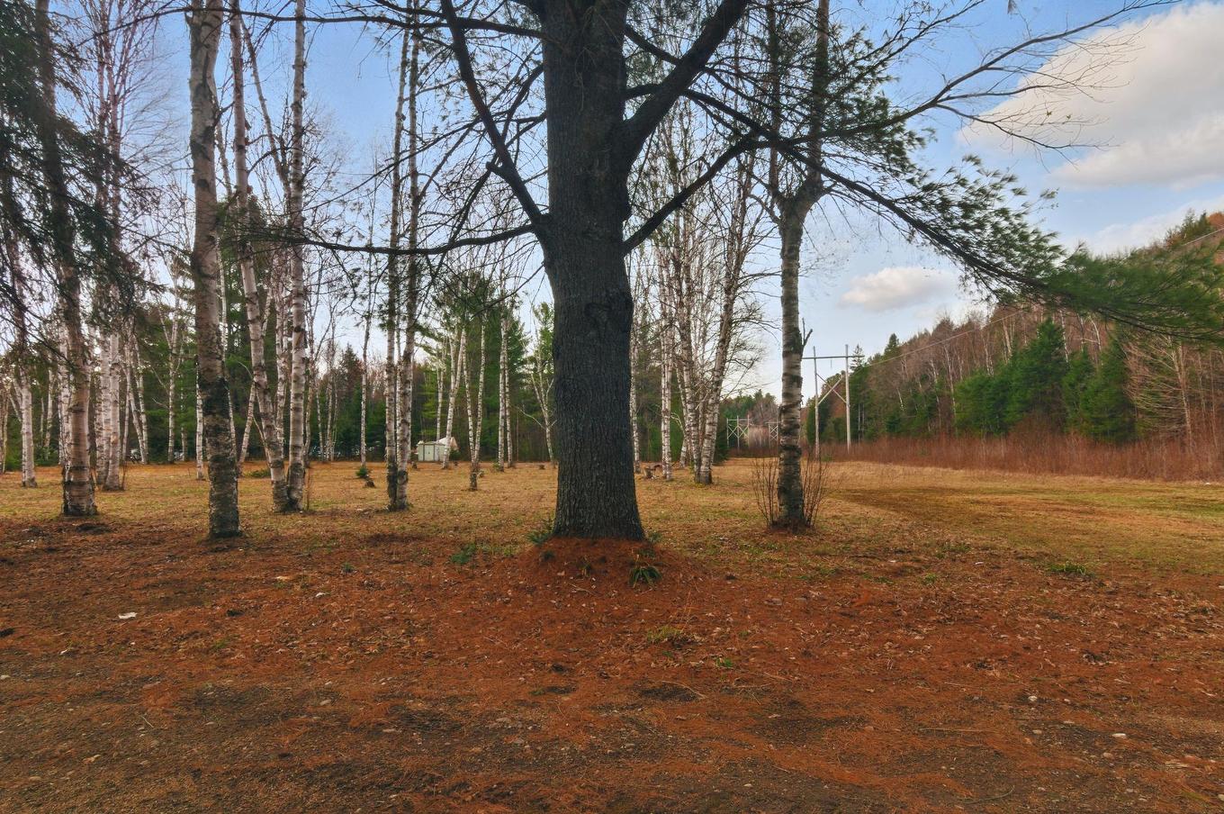 Land/Lot - Ch. O'Dwyer, Bowman, QC