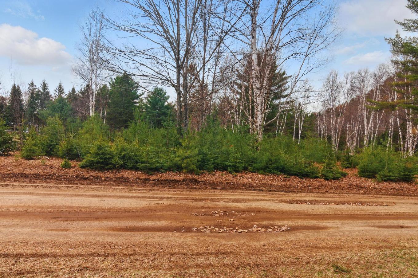 Land/Lot - Ch. O'Dwyer, Bowman, QC