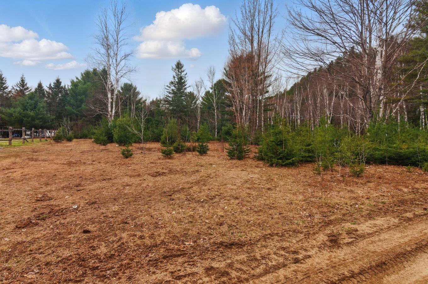 Land/Lot - Ch. O'Dwyer, Bowman, QC