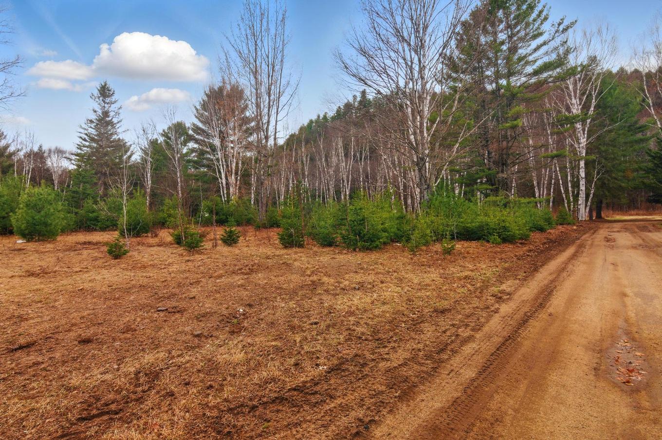 Land/Lot - Ch. O'Dwyer, Bowman, QC