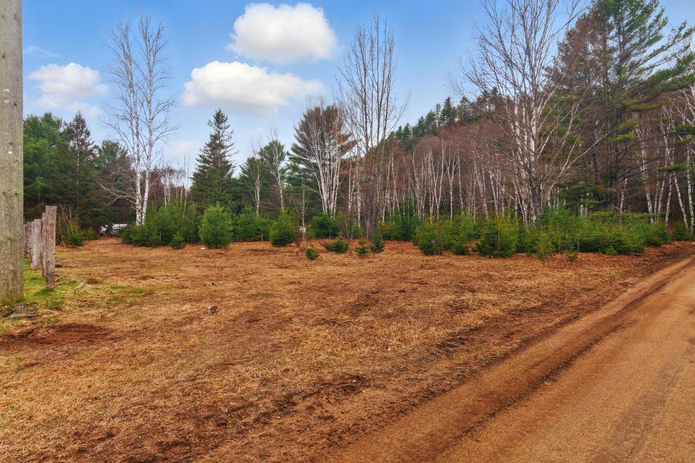 Land/Lot - Ch. O'Dwyer, Bowman, QC