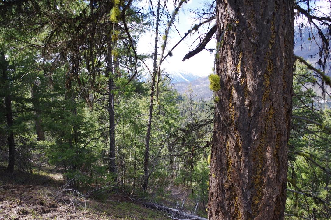 55 Lakeview Lot A Dl 5637 Lakeview Rd Road, Gold Bridge, BC - Outdoor With View