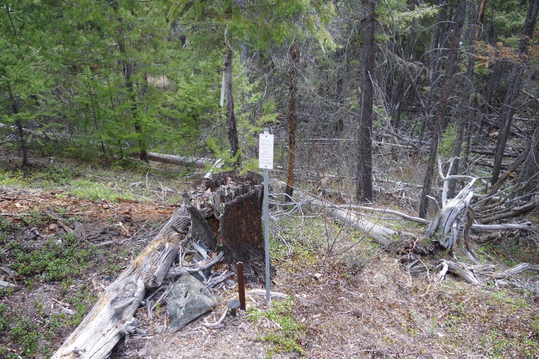 55 Lakeview Lot A Dl 5637 Lakeview Rd Road, Gold Bridge, BC - Outdoor With View