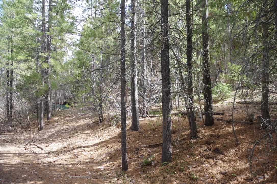 55 Lakeview Lot A Dl 5637 Lakeview Rd Road, Gold Bridge, BC - Outdoor With View