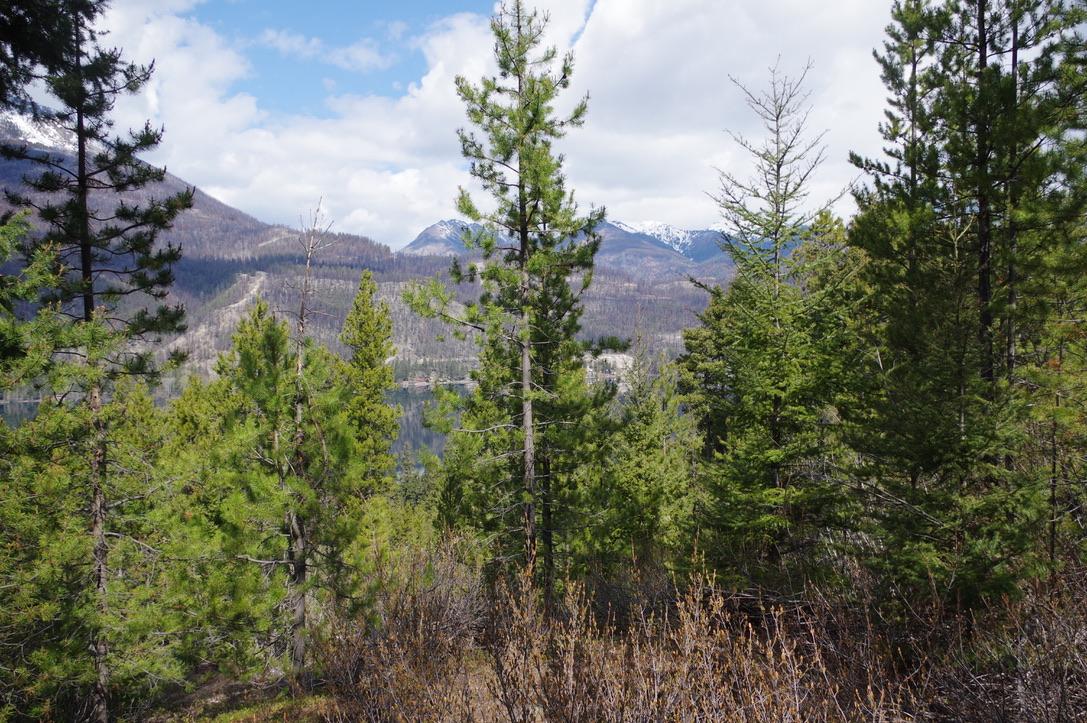 55 Lakeview Lot A Dl 5637 Lakeview Rd Road, Gold Bridge, BC - Outdoor With View