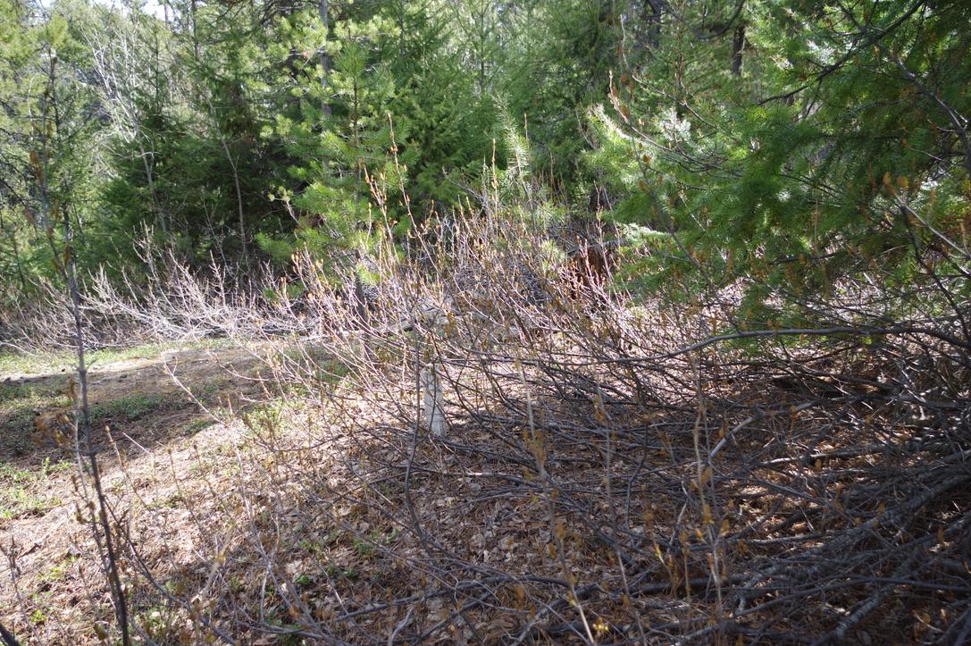 55 Lakeview Lot A Dl 5637 Lakeview Rd Road, Gold Bridge, BC - Outdoor With View