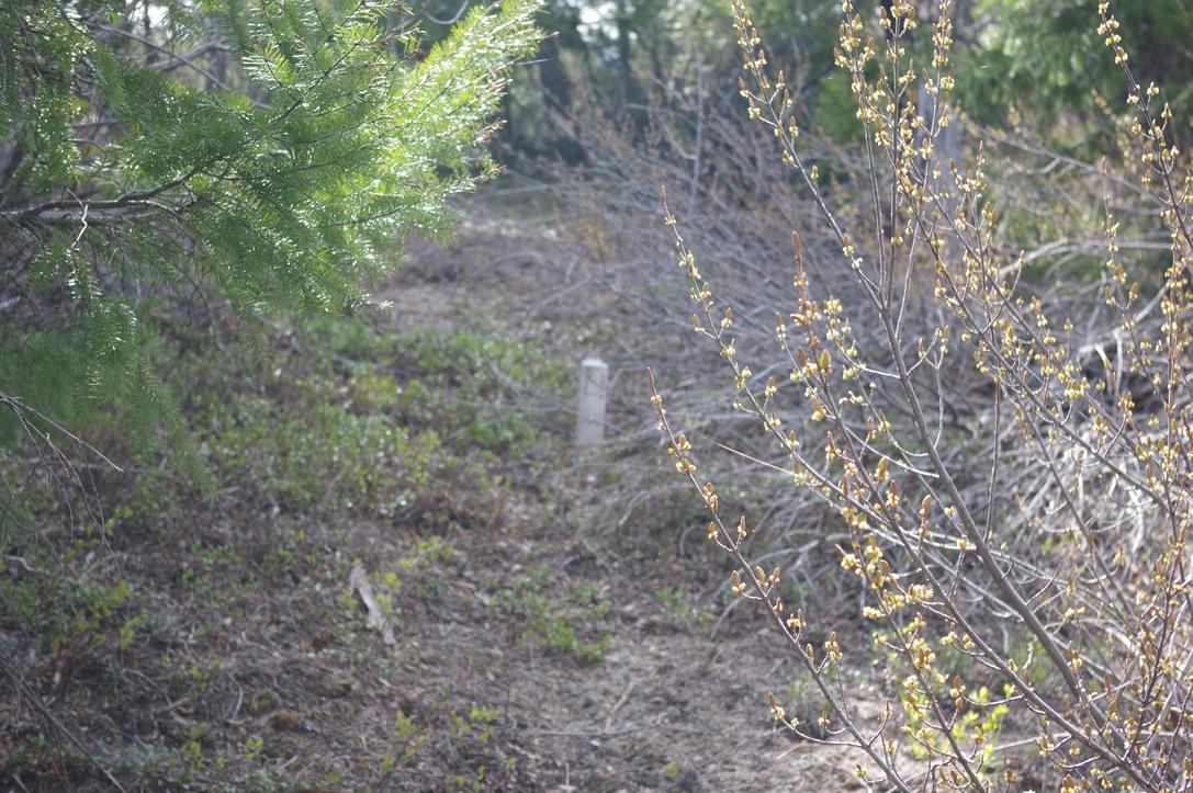 55 Lakeview Lot A Dl 5637 Lakeview Rd Road, Gold Bridge, BC - Outdoor With View