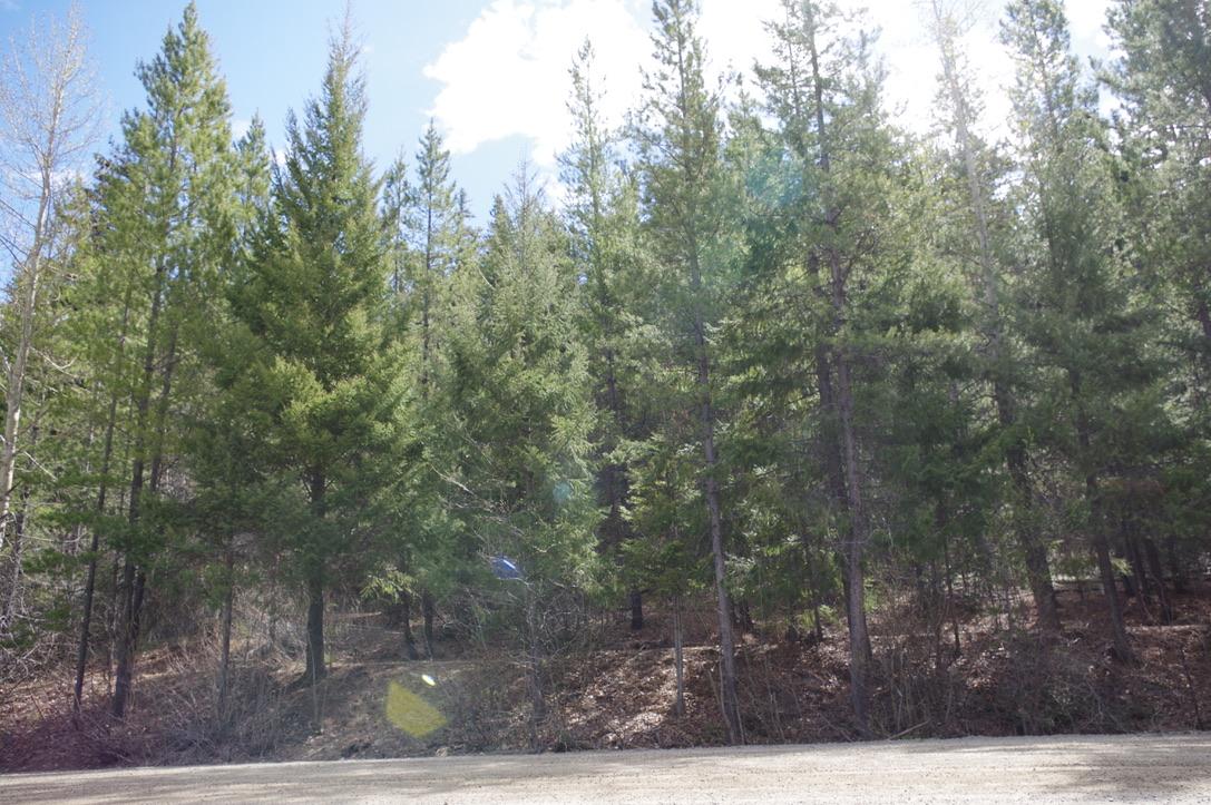 55 Lakeview Lot A Dl 5637 Lakeview Rd Road, Gold Bridge, BC - Outdoor With View