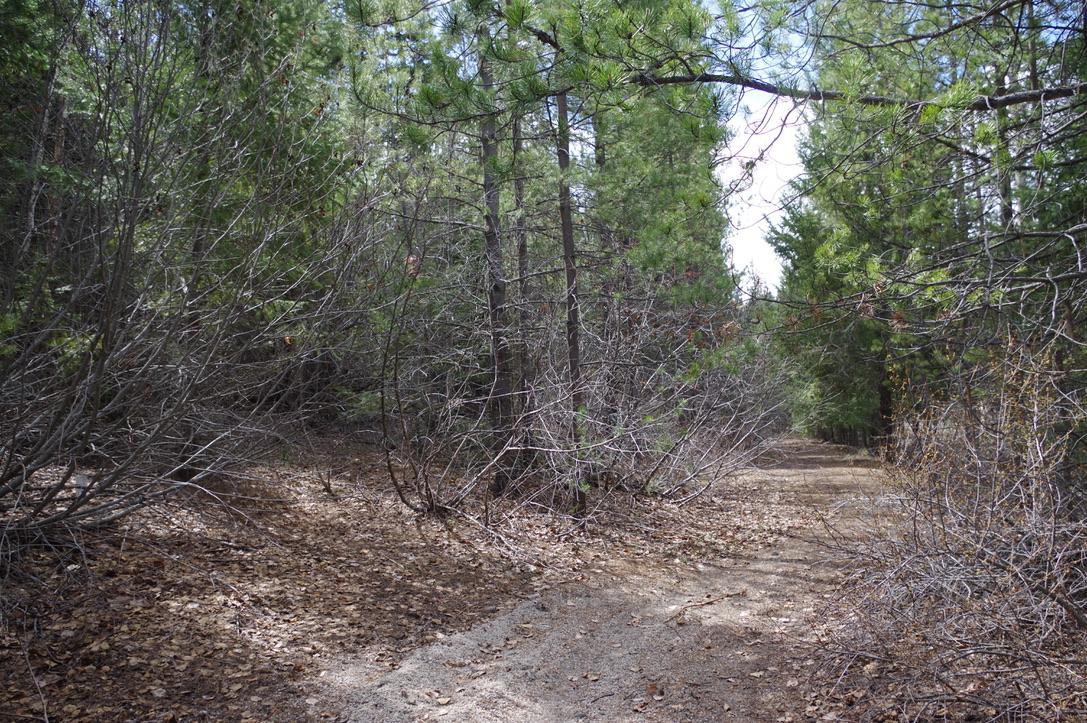 55 Lakeview Lot A Dl 5637 Lakeview Rd Road, Gold Bridge, BC - Outdoor With View