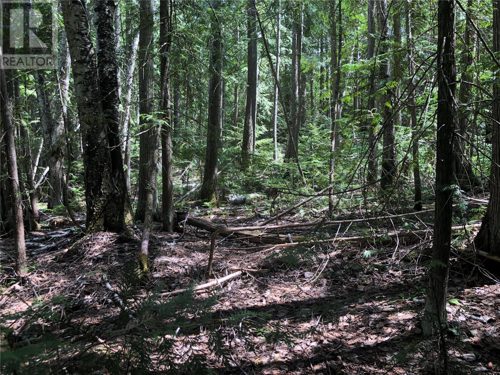 West side - 50 Valecairn Road, Enderby, BC