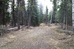 Lot 10 McCarthy Road 100 Mile House, BC V0K 1X2