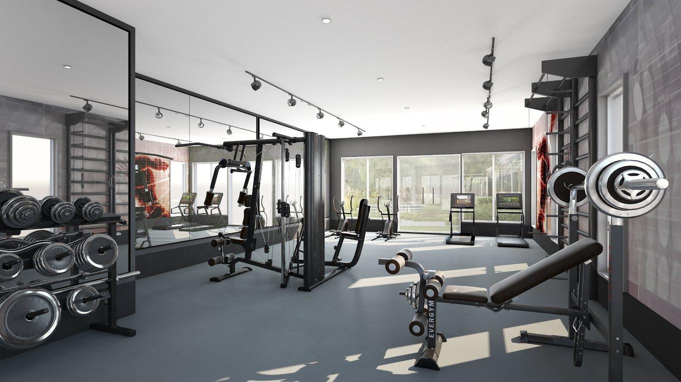 Salle d'exercice - 505-244 Boul. Hymus, Pointe-Claire, QC - Indoor Photo Showing Gym Room