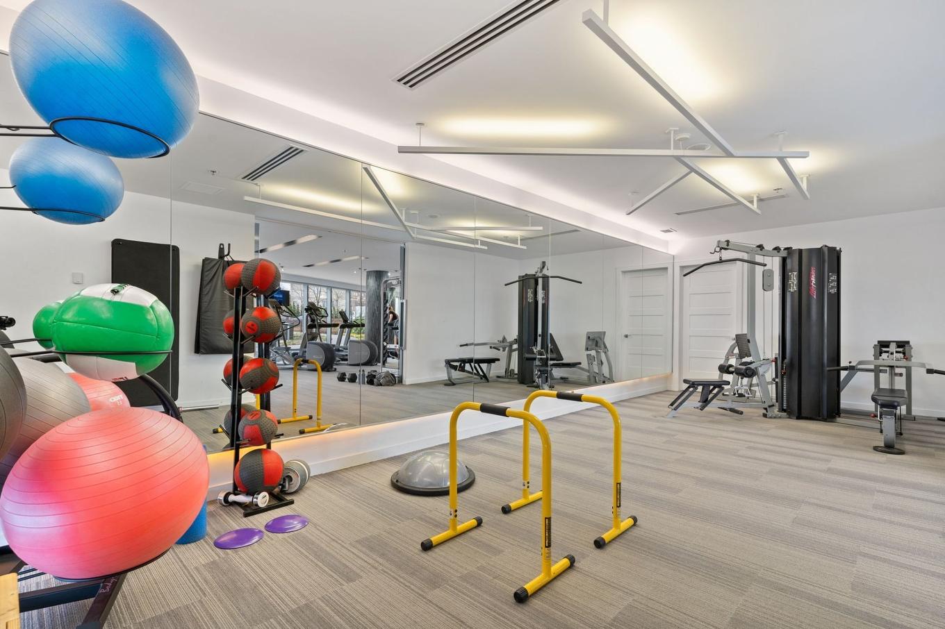 Salle d'exercice - 206-100 Rue André-Prévost, Montréal (Verdun/Île-Des-Soeurs), QC - Indoor Photo Showing Gym Room