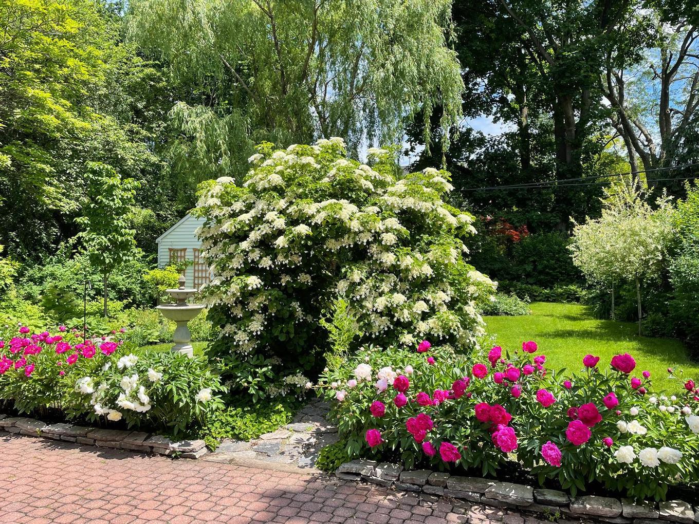 Jardin - 5044 Av. Ponsard, Montréal (Côte-Des-Neiges/Notre-Dame-De-Grâce), QC - Outdoor
