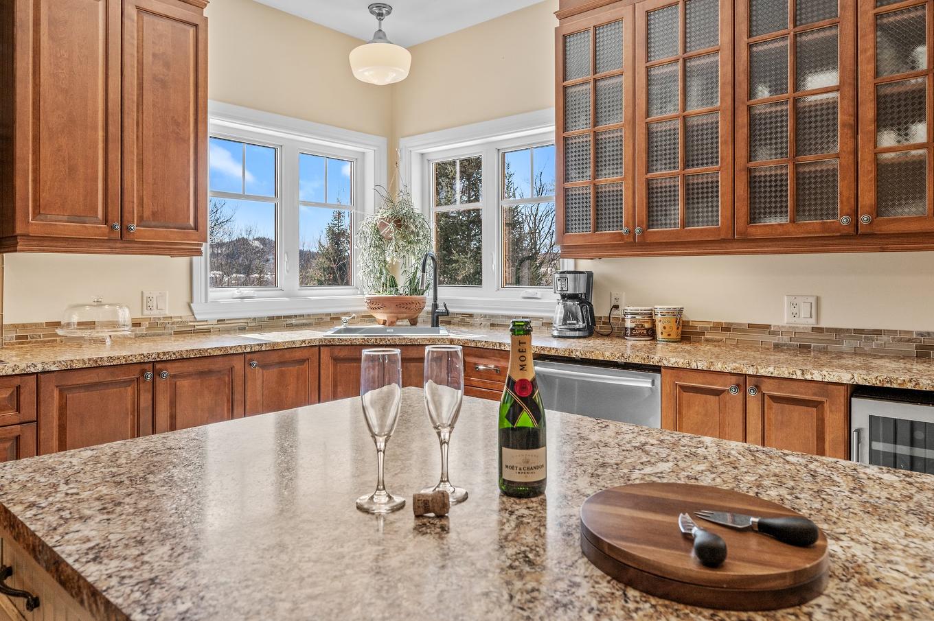 Kitchen - 113 Mtée Des Samares, Sainte-Agathe-Des-Monts, QC - Indoor Photo Showing Kitchen