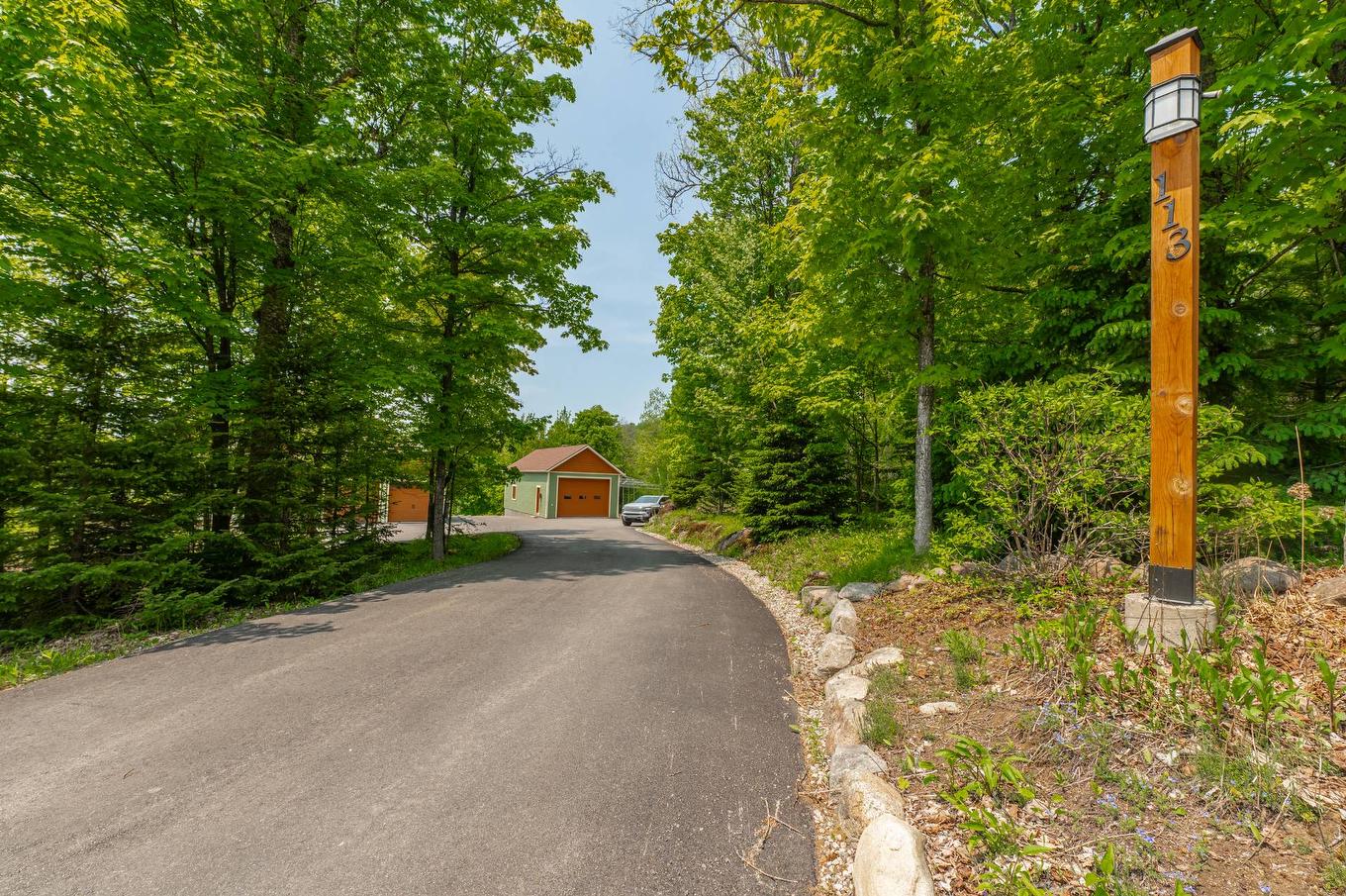 Backyard - 113 Mtée Des Samares, Sainte-Agathe-Des-Monts, QC - Outdoor