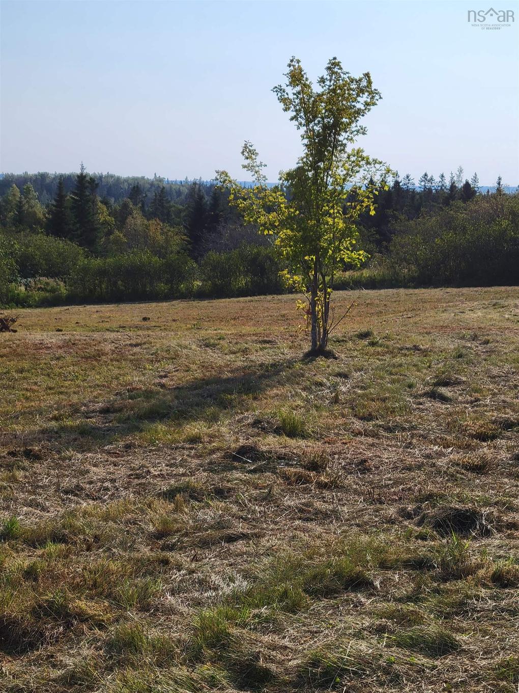 39 Walkerville Road, Walkerville, NS