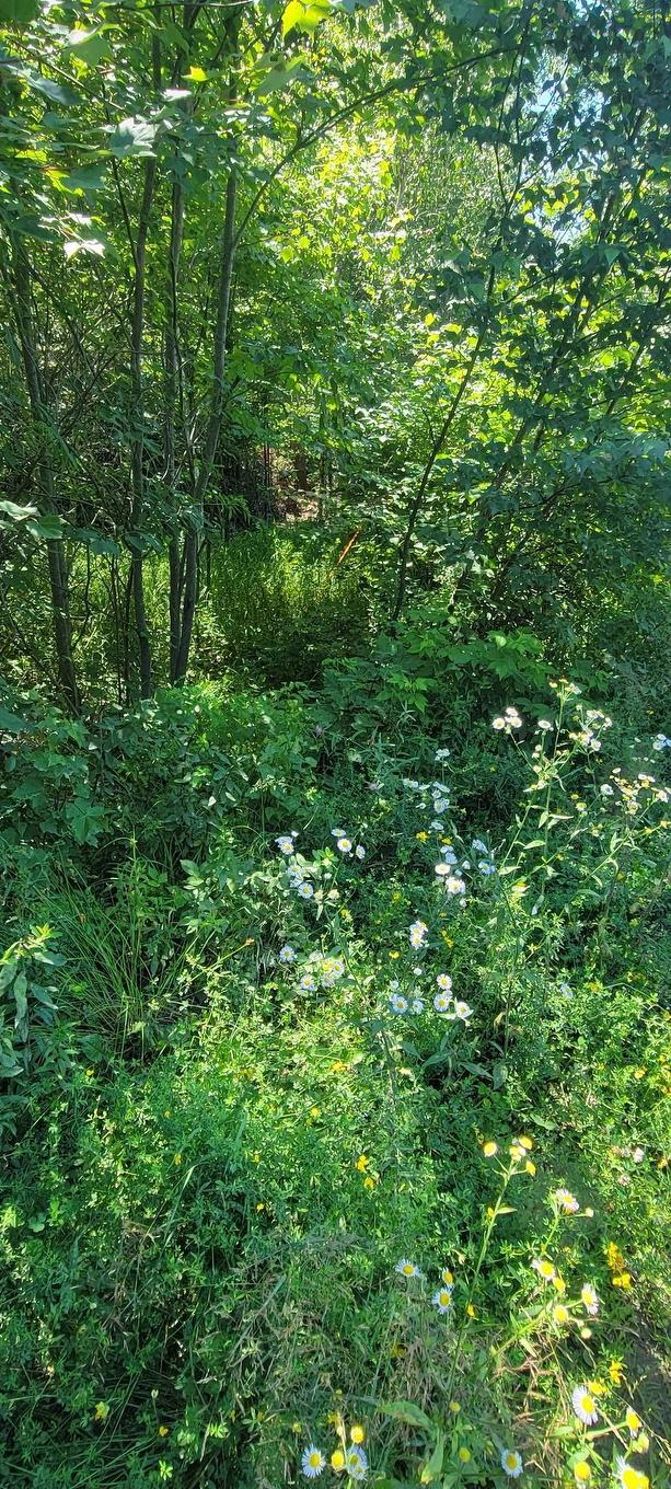 Lot 47 Bolivar Road, Waterloo, NS