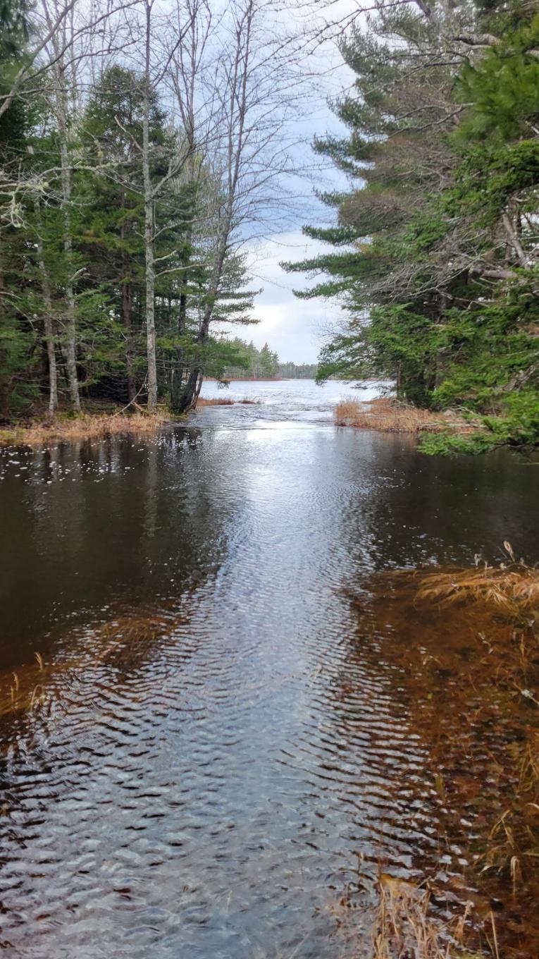 Lot 47 Bolivar Road, Waterloo, NS