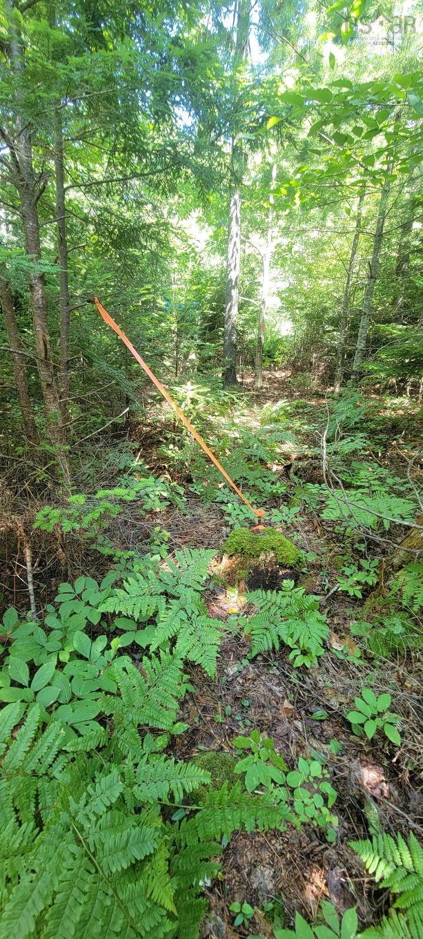 Lot 47 Bolivar Road, Waterloo, NS