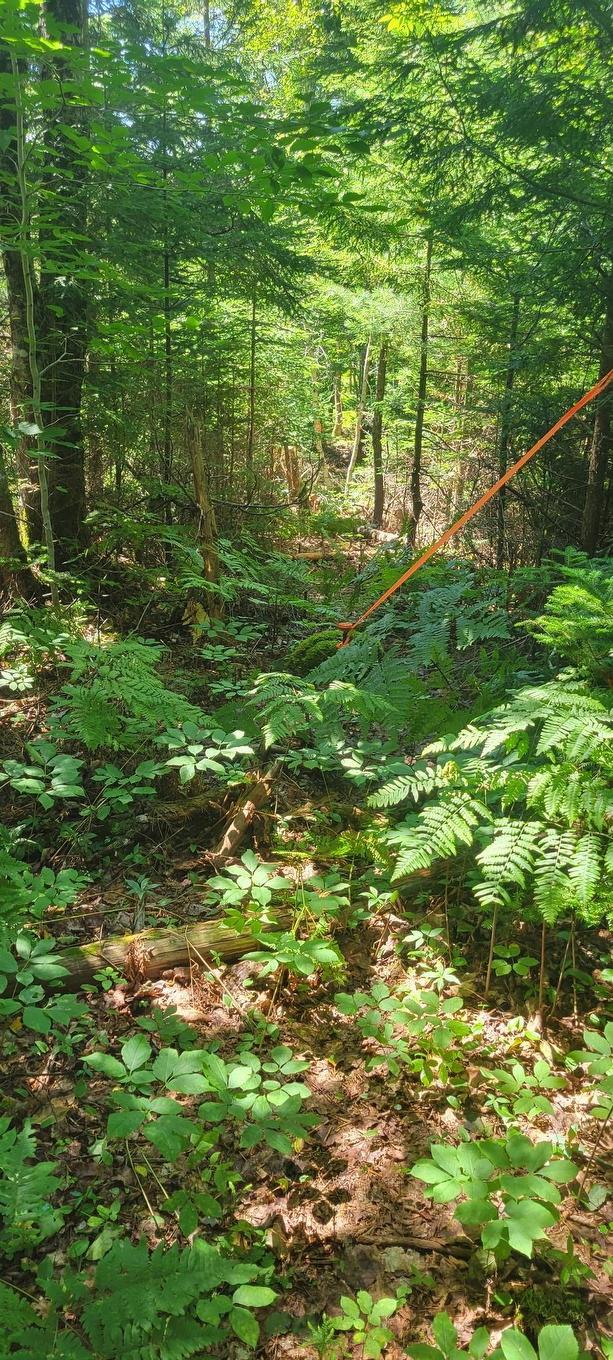 Lot 47 Bolivar Road, Waterloo, NS