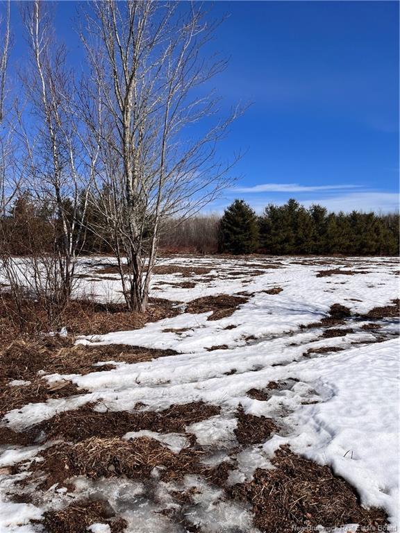 Lot Northwood And Old Barn Rd, Moncton, NB