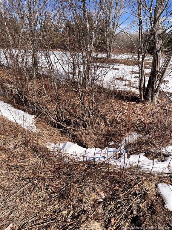 Lot Northwood And Old Barn Rd, Moncton, NB