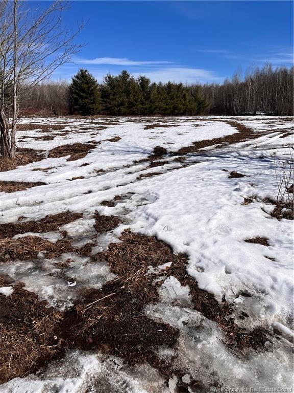 Lot Northwood And Old Barn Rd, Moncton, NB