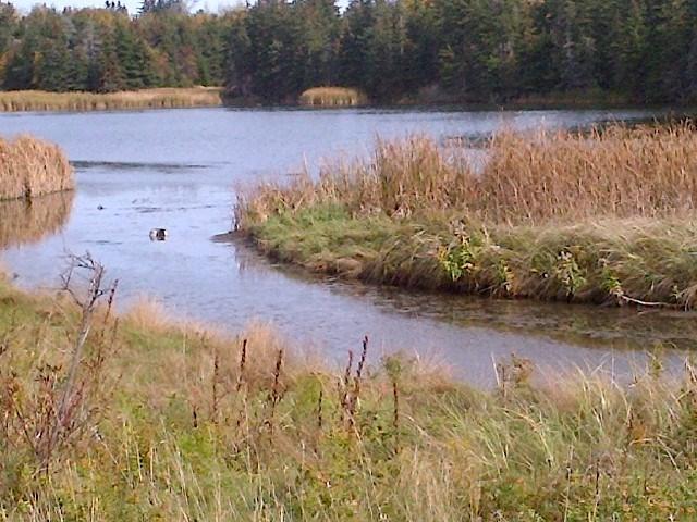 East Point Road, Souris, PE