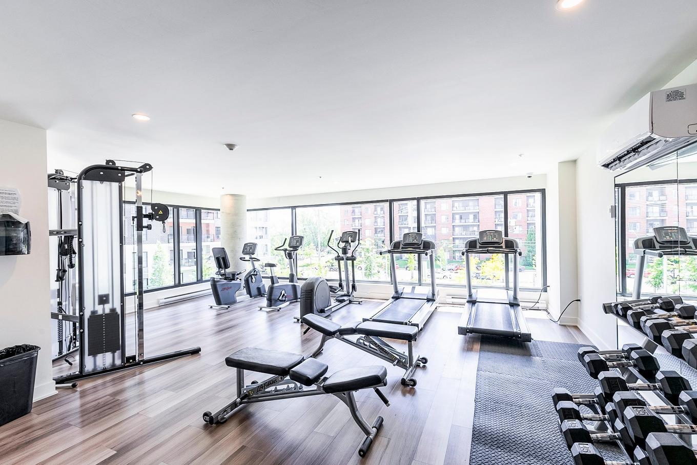 Salle d'exercice - 607-1700 Rue Viola-Desmond, Montréal (Lasalle), QC - Indoor Photo Showing Gym Room