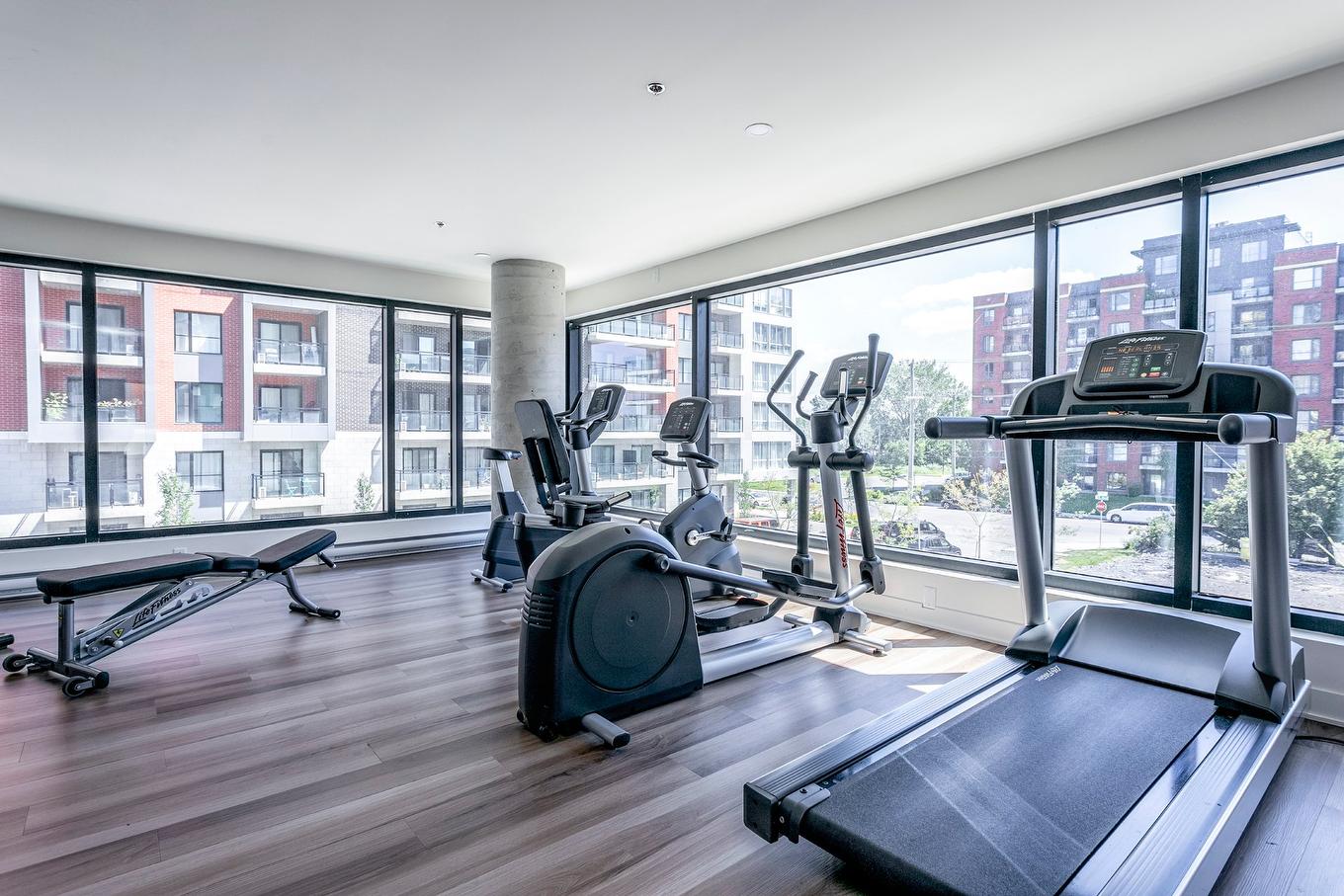 Salle d'exercice - 607-1700 Rue Viola-Desmond, Montréal (Lasalle), QC - Indoor Photo Showing Gym Room