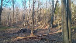 Rue du Lac-Raymond Saint-Calixte, QC J0K 1Z0